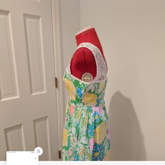 Lilly Pulitzer dress - Picture 6 of 6
